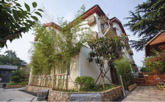 湖北房产大叔的网红房源，探索湖北的网红房子