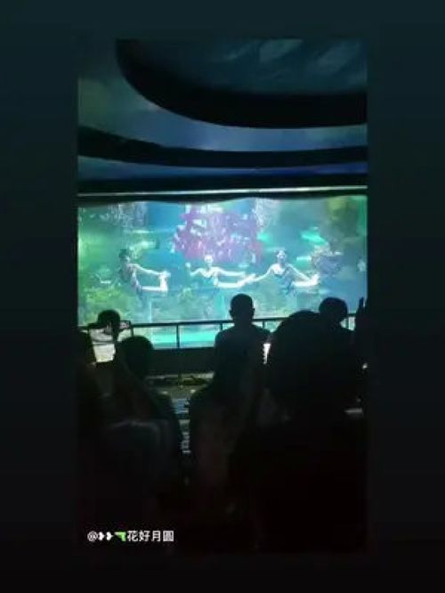 湖北旅游实拍与视频分享