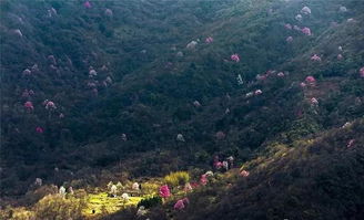 湖北乡村旅游重点村荣获旅游名村称号