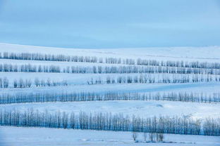 湖北十二月旅游攻略，探索冬季美景的绝佳之地