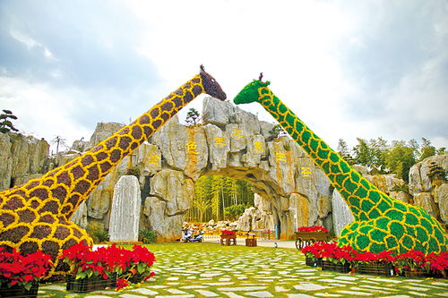 湖北咸宁旅游团探索之旅，探寻咸宁旅游团的精彩之旅