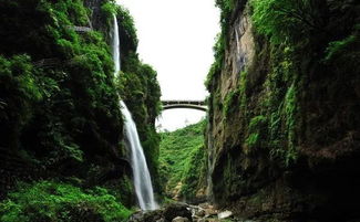 湖北兴山旅游团畅游美景，探寻兴山景点魅力之旅