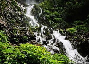 湖北恩施旅游攻略，自助游恩施，探索美丽风景之旅