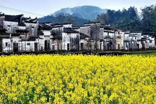 湖北至江西婺源旅游攻略，畅游婺源，一览美景