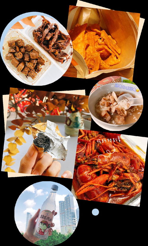 湖北美食直播回场视频大全及下载攻略