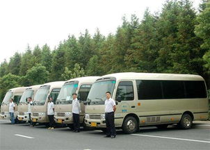 湖北天门租车旅游攻略及旅游公司联系电话 湖北天门租车旅游攻略及旅游公司联系电话