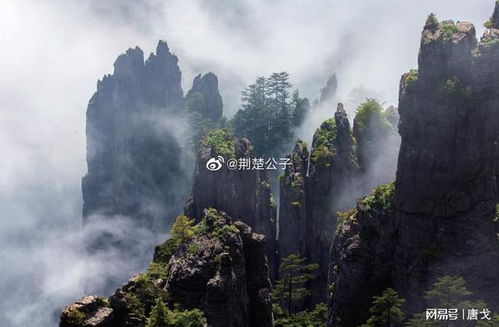 湖北庐山旅游攻略揭秘，探索美景，体验乐趣无限！