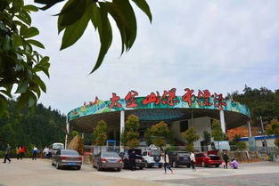 湖北美术馆漂流美食之旅，美术馆周边的味蕾盛宴