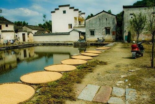 湖北随州旅游小镇探秘，随州文旅小镇的魅力之旅