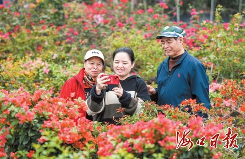 湖北赏花直播盛宴，旅游赏花视频在线播放