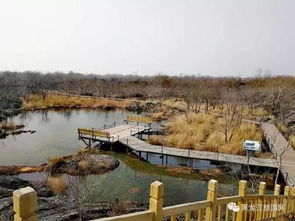 湖北新兵必游之地，推荐最佳旅游目的地