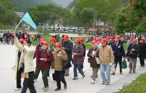 湖北旅游团与导游团发生冲突事件 湖北旅游团与导游团发生冲突事件