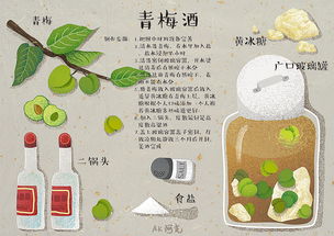 湖北美食活动插画图文介绍及手抄报图片欣赏