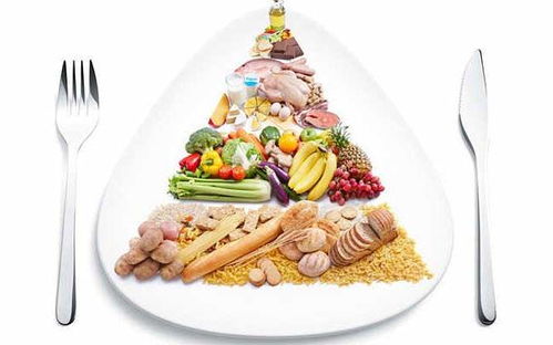 湖北美食学院与美食园食品公司介绍，美食文化与产品一览