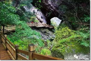 湖北旅游景点大全，探索湖北的美丽之地