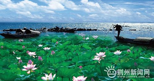 湖北洪湖旅游崛起，洪湖4A景区探秘