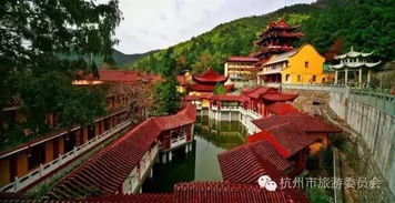 湖北春节旅游指南，热门景点大盘点