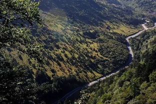 湖北旅游热门目的地，哪个地方吸引游客最多？