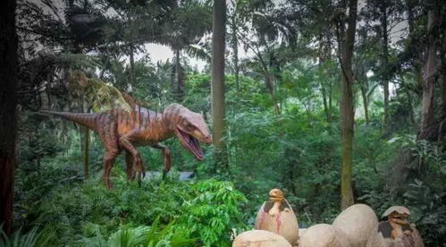 湖北旅游动物亲子游,湖北哪里有野生动物园