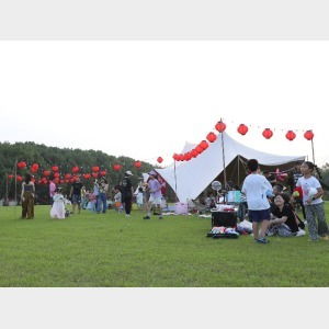 湖北旅游市场搬迁与拓展，批发价新动向