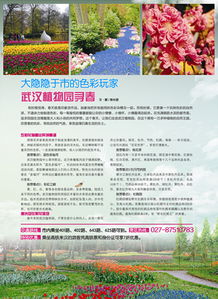 湖北旅游报纸,湖北旅游杂志