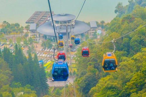 湖北亲子游攻略，最佳路线游玩指南