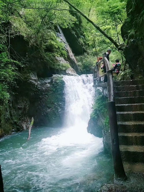 湖北神农架旅游价格详解