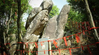 湖北金子山旅游攻略大全,门票价格及游玩指南 湖北金子山旅游攻略大全,门票价格及游玩指南