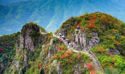 湖北金子山旅游攻略大全,门票价格及游玩指南 湖北金子山旅游攻略大全,门票价格及游玩指南