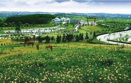 湖北木兰旅游团概览，探索木兰旅游团的多彩之旅