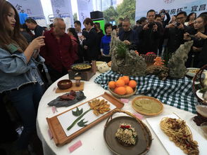 湖北美食盛宴，新年佳肴与美食节精选菜品展示
