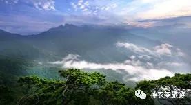 湖北清凉寨旅游预约攻略，探索湖北的避暑胜地