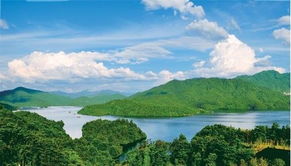 湖北酒仙湖旅游,湖北酒仙湖旅游景点大全