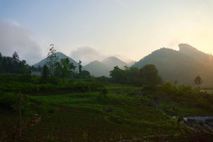 湖北梅县旅游攻略，探索梅县旅游景点的魅力之旅