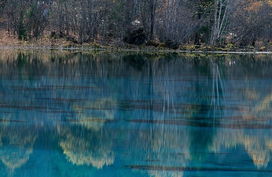 湖北至九寨沟旅游团价格解析，究竟需要多少钱？