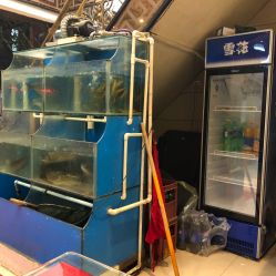 天河湖北美食团购盛宴与变压器台架安装规范