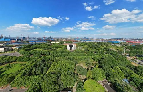 湖北旅游基地与景区精彩视频探秘