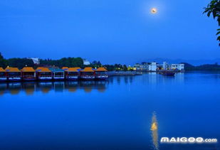 湖北旅游胜地,湖泊与湖畔的绝美风光探索 湖北旅游胜地,湖泊与湖畔的绝美风光探索