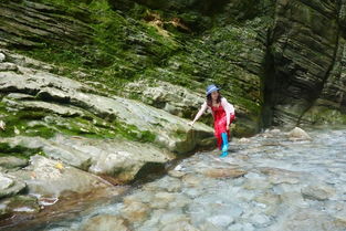 湖北旅游真实体验之旅，探索湖北的美丽瞬间