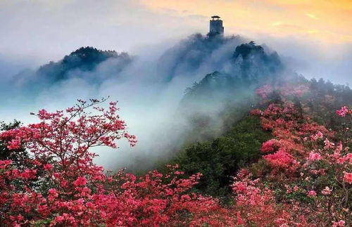 湖北子梅旅游攻略，探访子梅垭口景区，一键获取景区电话！