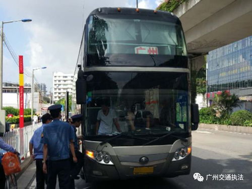 湖北黄梅旅游大巴与汽车站探秘之旅