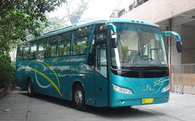 湖北黄梅旅游大巴与汽车站探秘之旅