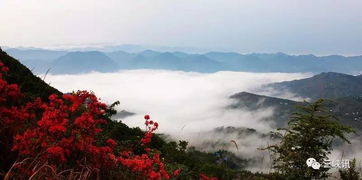 湖北万州旅游,万州旅游景区