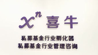 湖北喜牛文化旅游与喜牛网络科技有限公司，探索文化之旅，共创网络辉煌