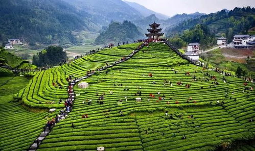 湖北茶山旅游攻略及精美图文导航 湖北茶山旅游攻略及精美图文导航