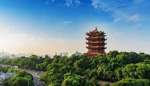 湖北旅游现在是否免门票？