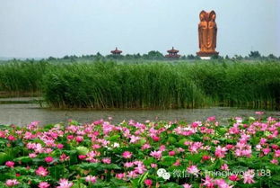 湖北旅游惠民卡黄梅与黄陂畅游攻略 湖北旅游惠民卡黄梅与黄陂畅游攻略