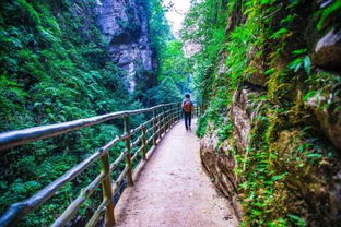 湖北旅游卡地心谷探秘，地心谷景点好不好玩？