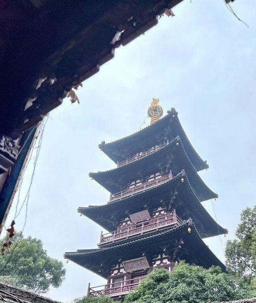 湖北与江苏旅游推荐攻略，湖北必游景点揭秘