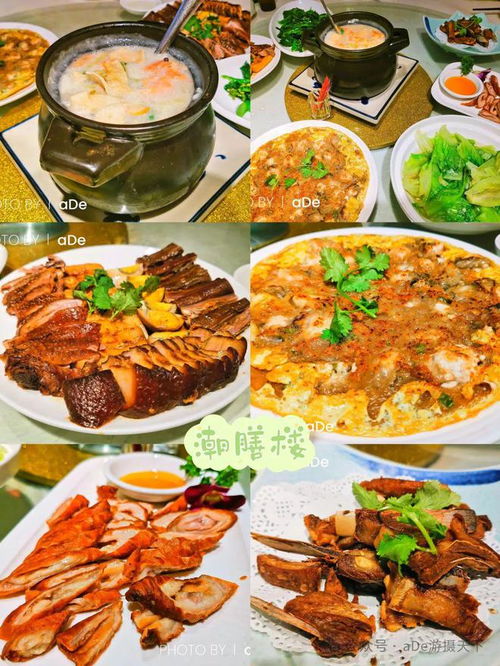 深圳湖北菜馆大全，品尝正宗湖北美食的指南